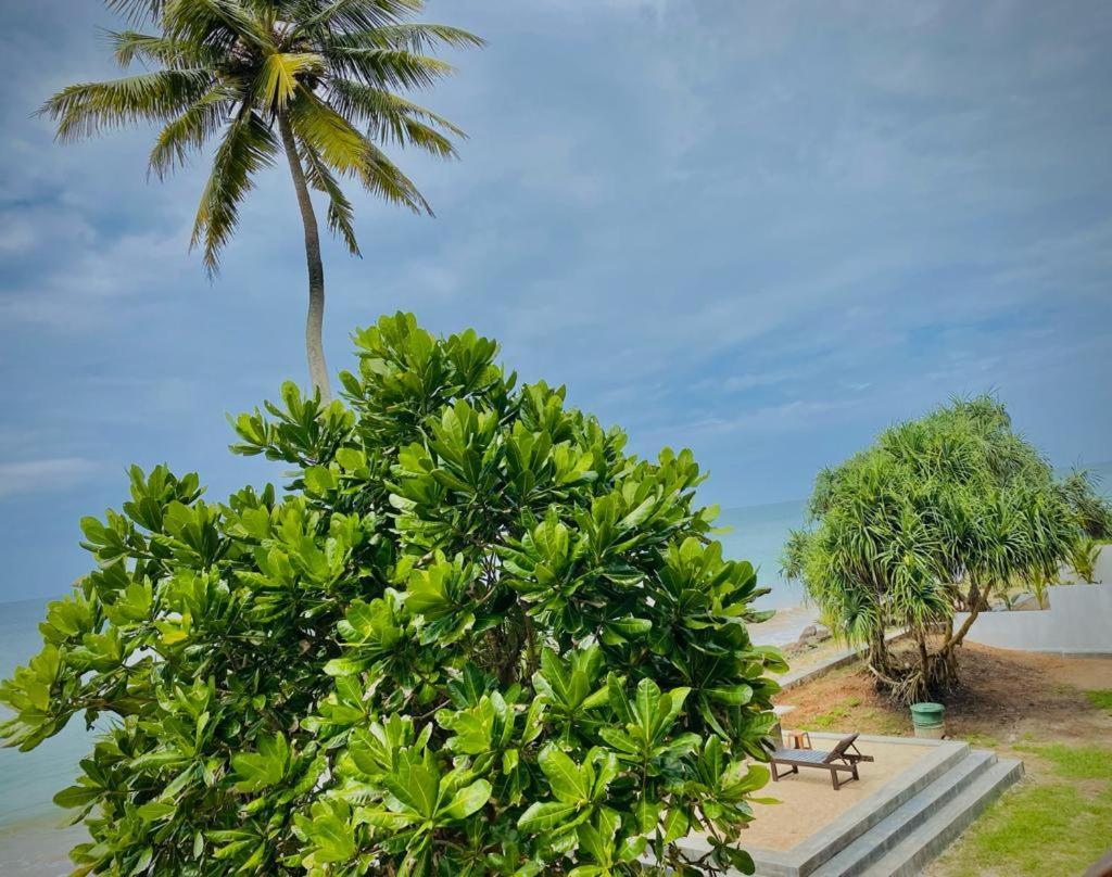 Sevenra Grand Beach Hotel Ambalangoda  Exterior photo